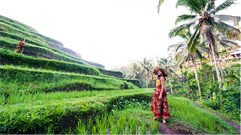 Tegalalang Rice Terrace