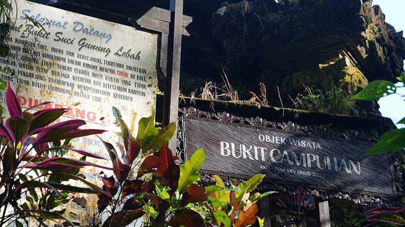 Bukit Campuhan Ubud: Jalur Trekking Romantis di Alam Bali