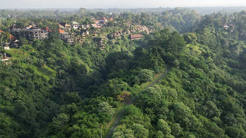 Bukit Campuhan Ubud: Jalur Trekking Romantis di Alam Bali