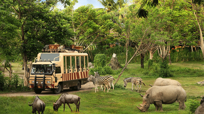 Bali Safari Park: Wisata Alam Liar Penuh Petualangan