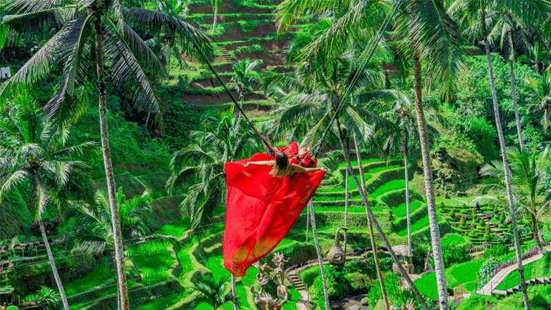 Alas Harum Tree Swing