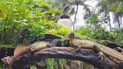 Bali Reptile Park