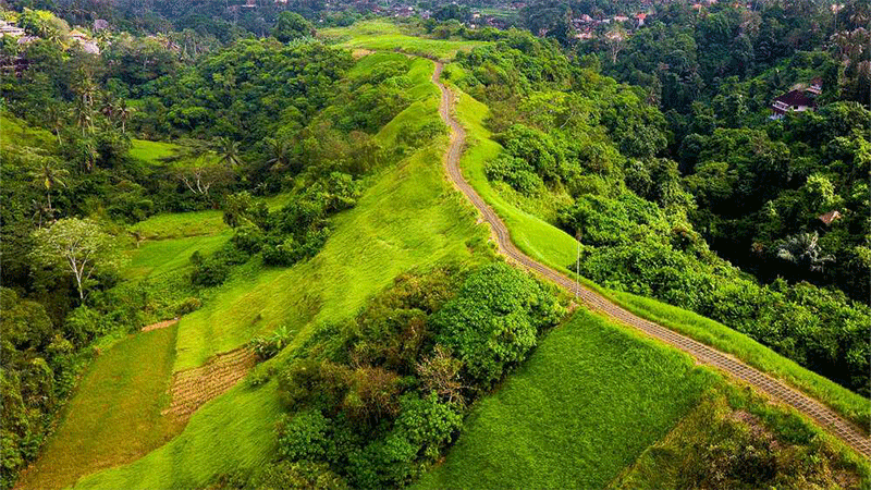 Bukit Cinta Ubud