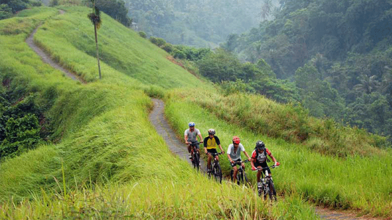 Downhill Cycling Ubud
