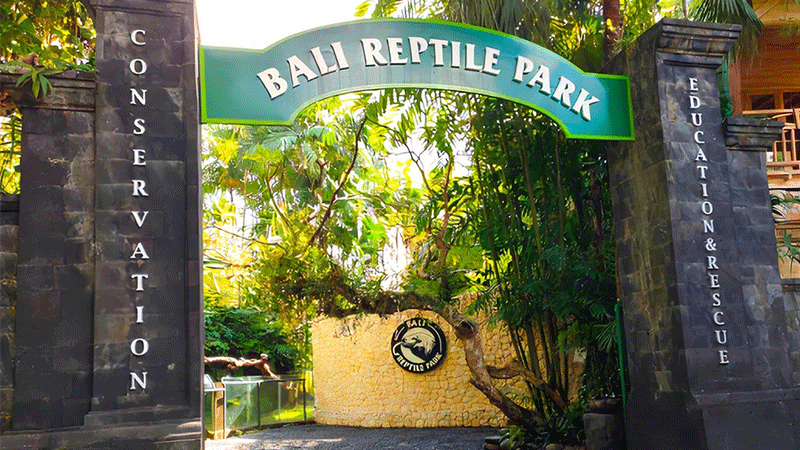 Bali Reptile Park