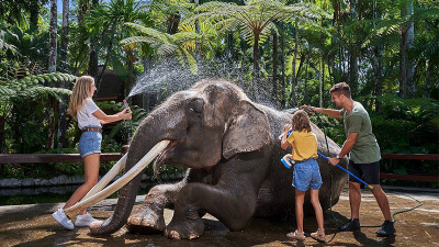 Mason Elephant Safari Park