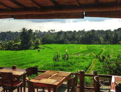 Sari Organik Ubud: Menikmati Hidangan Sehat di Tengah Sawah