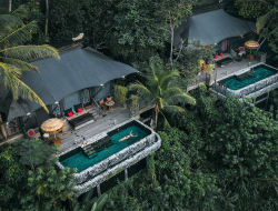 Capella Ubud: Kemewahan Tersembunyi di Tengah Hutan