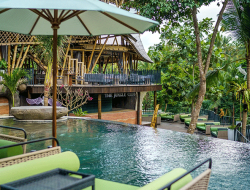 The Jungle Club Ubud: Surga Kuliner dengan View Hutan Tropis