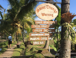 Sweet Orange Ubud, Warung Tersembunyi di Tengah Sawah