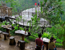 Bali Pulina Ubud: Di Heningnya Alam dan Secangkir Kopi Luwak