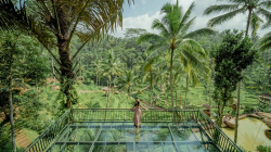 Alas Harum Agro Tourism: Menyelami Keindahan Alam dan Adrenalin di Jantung Ubud