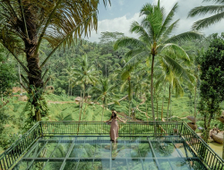 Alas Harum Agro Tourism: Menyelami Keindahan Alam dan Adrenalin di Jantung Ubud