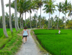 Bali Bird Walks: Menjelajahi Keindahan Alam Ubud Lewat Jejak Burung Eksotis