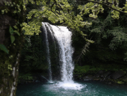 Manuaba Waterfall: Sunyi yang Indah di Tengah Alam Ubud
