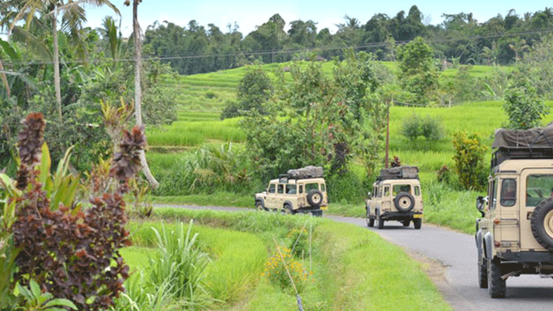 Jeep Tour Pedesaan