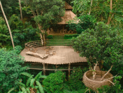 Kumulilir Agro Tourism: Harmoni Alam, Edukasi, dan Relaksasi