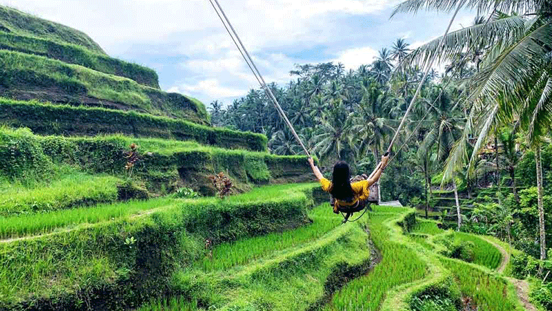 Tegalalang Rice Terrace