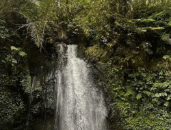 Air Terjun Keliki: Permata Tersembunyi di Tengah Hutan Ubud