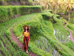 Jelajahi Ubud Bali: Tempat Wisata, Aktivitas Seru, dan Daya Tariknya