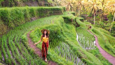 Tempat wisata Ubud