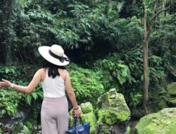 Panduan Wisata di Ubud: Destinasi, Alam, dan Budaya