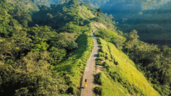 Campuhan Ridge Walk