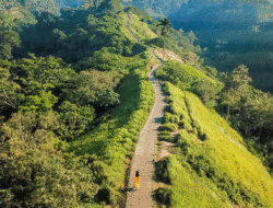 Campuhan Ridge Walk Ubud, Tempat Terbaik Menikmati Matahari Terbit
