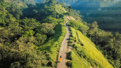 Campuhan Ridge Walk