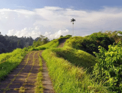 Panduan Wisata Bukit Campuhan Ubud yang Wajib Dikunjungi