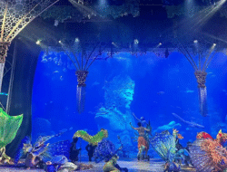 Marine Park Bali Safari: Wisata Edukasi dan Hiburan untuk Keluarga