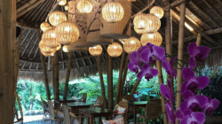 TIS Cafe Ubud: Menikmati Kuliner dengan Panorama Sawah Tegalalang