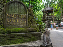 3 Wisata di Ubud Bali yang Bisa Dikunjungi dalam Satu Perjalanan